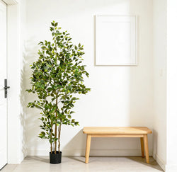 Low-Maintenance Artificial Ficus Tree - Enjoy Evergreen Beauty All Year Round, No Watering or Pruning Required