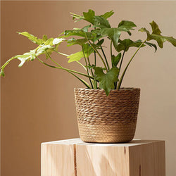Rattan Straw Weaving Flower Plant Pot Wicker Basket Flowerpot Storage Basket Garden Flowerpot Handmade Woven Planter Basket
