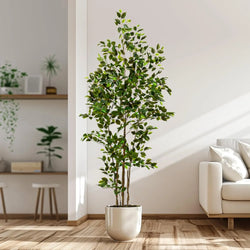 Low-Maintenance Artificial Ficus Tree - Enjoy Evergreen Beauty All Year Round, No Watering or Pruning Required