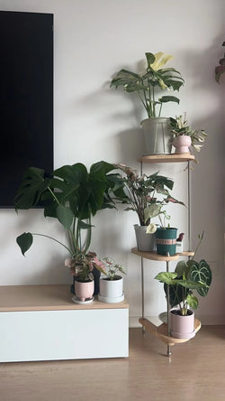 Modern Solid Wood Furniture Plant Stand Adjustable Shelf for Living   Heavy Duty Geometric Design Home Decor