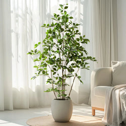 Low-Maintenance Artificial Ficus Tree - Enjoy Evergreen Beauty All Year Round, No Watering or Pruning Required